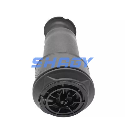 Voor Mercedes Citroen C4 achterkant 96819460805102 GN5102R8 Air Spring