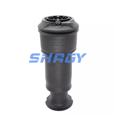 Voor Mercedes Citroen C4 achterkant 96819460805102 GN5102R8 Air Spring