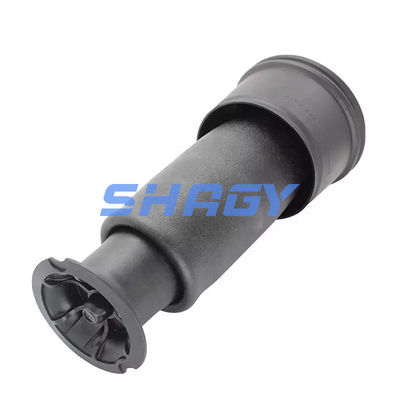 Voor Mercedes Citroen C4 achterkant 96819460805102 GN5102R8 Air Spring